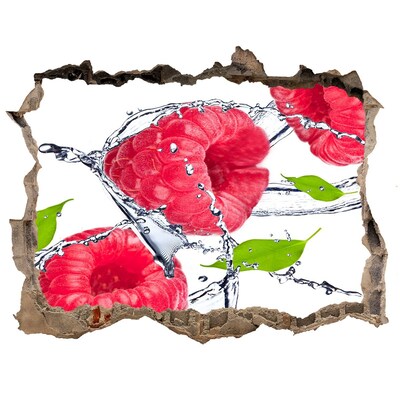 Autocolant de perete gaură 3D Cascadă de zmeură