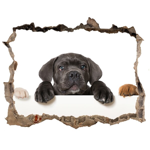 Autocolant gaură 3D Cățeluș dulce de după perete