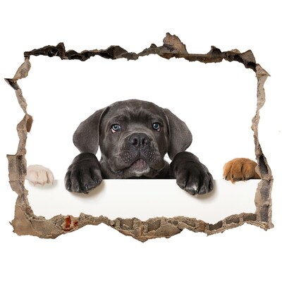 Autocolant gaură 3D Cățeluș dulce de după perete