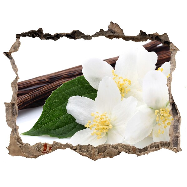 Autocolant autoadeziv gaură Flori de iasomie în beton