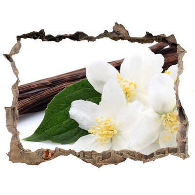 Autocolant autoadeziv gaură Flori de iasomie în beton