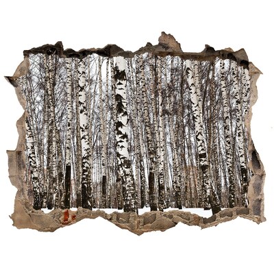 Autocolant autoadeziv gaură Pădure de mesteacăn de iarnă