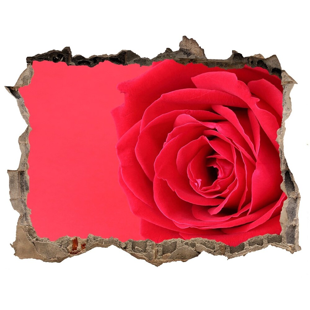 Autocolant 3D gaura cu priveliște Trandafir roșu