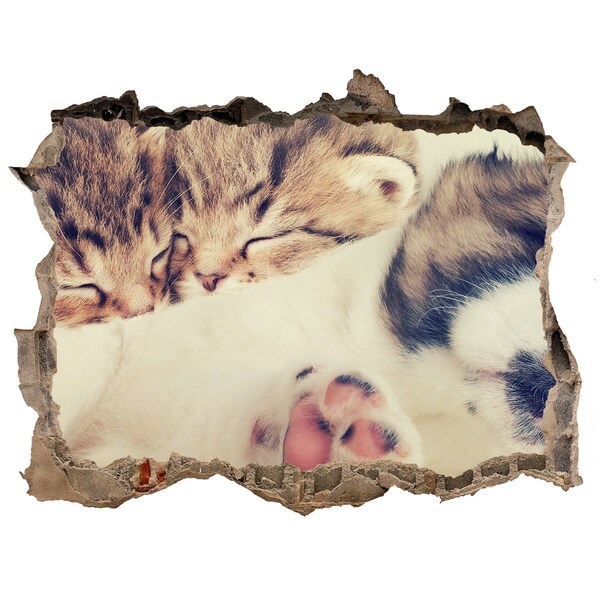 Autocolant 3D gaura cu priveliște Pisicuțe drăguțe într-o gaură în perete