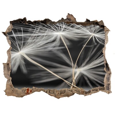 Autocolant de perete gaură 3D Flori de păpădie în beton