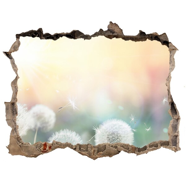 Autocolant un zid spart cu priveliște Lumea florală din spatele găurii