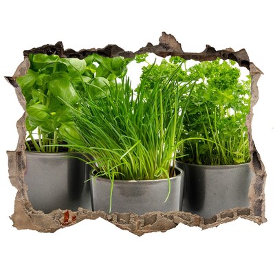 Autocolant autoadeziv gaură Grădină verde în ghivece