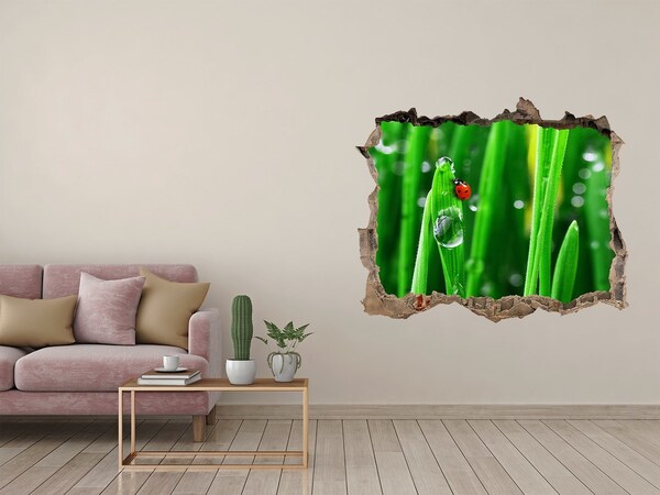 Autocolant autoadeziv gaură O picătură de rouă pe iarbă cu o buburuză