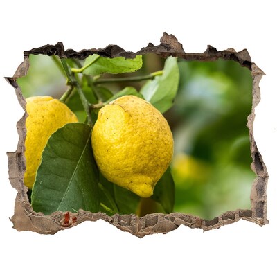 Autocolant gaură 3D Grădina de lămâi din spatele zidului