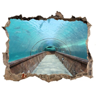 Autocolant gaură 3D Tunel subacvatic în ocean