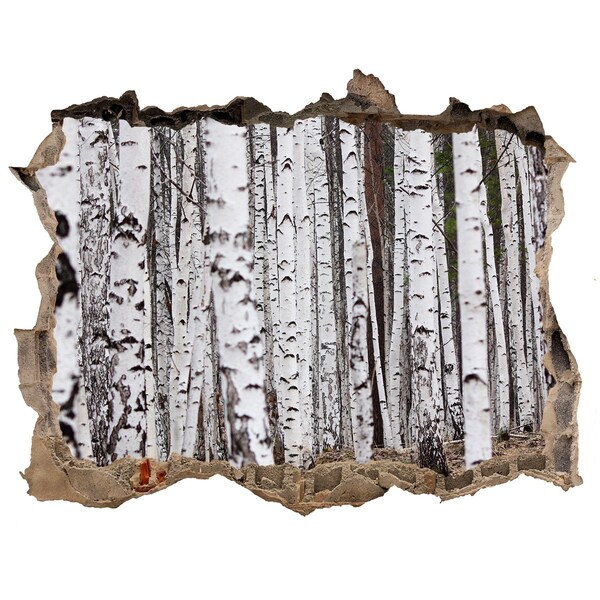 Fototapet un zid spart cu priveliște Oaza Pădurii Mestecenilor Albi