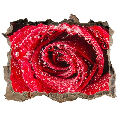 Autocolant un zid spart cu priveliște Trandafir cu picături de apă