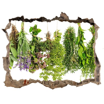 Autocolant autoadeziv gaură Oază verde cu ierburi aromatice