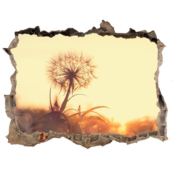 Autocolant de perete gaură 3D O floare în razele soarelui