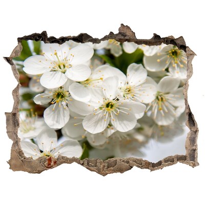 Fototapet 3D gaură în perete Flori de cireș