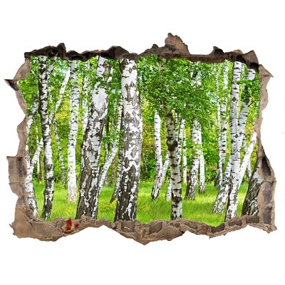 Autocolant 3D gaura cu priveliște Pădure verde de mesteacăn