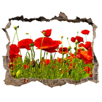 Fototapet 3D gaură în perete Wildflowers maci