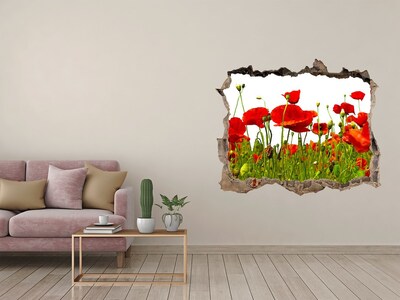 Fototapet 3D gaură în perete Wildflowers maci