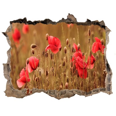 Autocolant gaură 3D Flori printre zidul ruinat