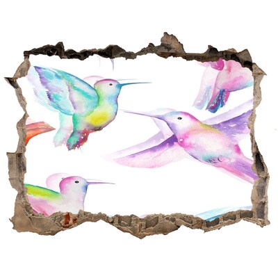 Autocolant de perete gaură 3D Colibri colorate într-o gaură în perete