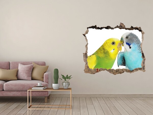 Autocolant autoadeziv gaură Budgies