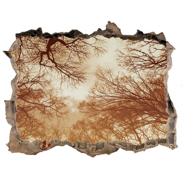 Samoprzylepna dziura na ścianę naklejka Reflecția copacilor într-un zid ruinat