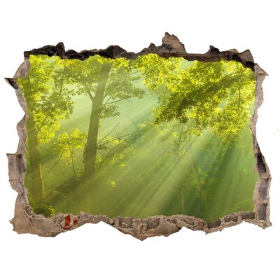 naklejka fototapeta 3D widok Pădure verde cu raze de soare