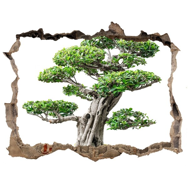 Samoprzylepna dziura na ścianę Bonsai într-o gaură în perete