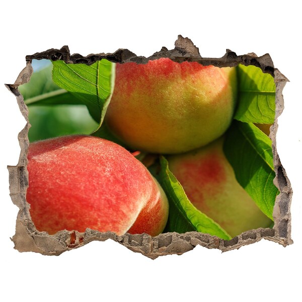 Samoprzylepna naklejka beton Livadă de meri