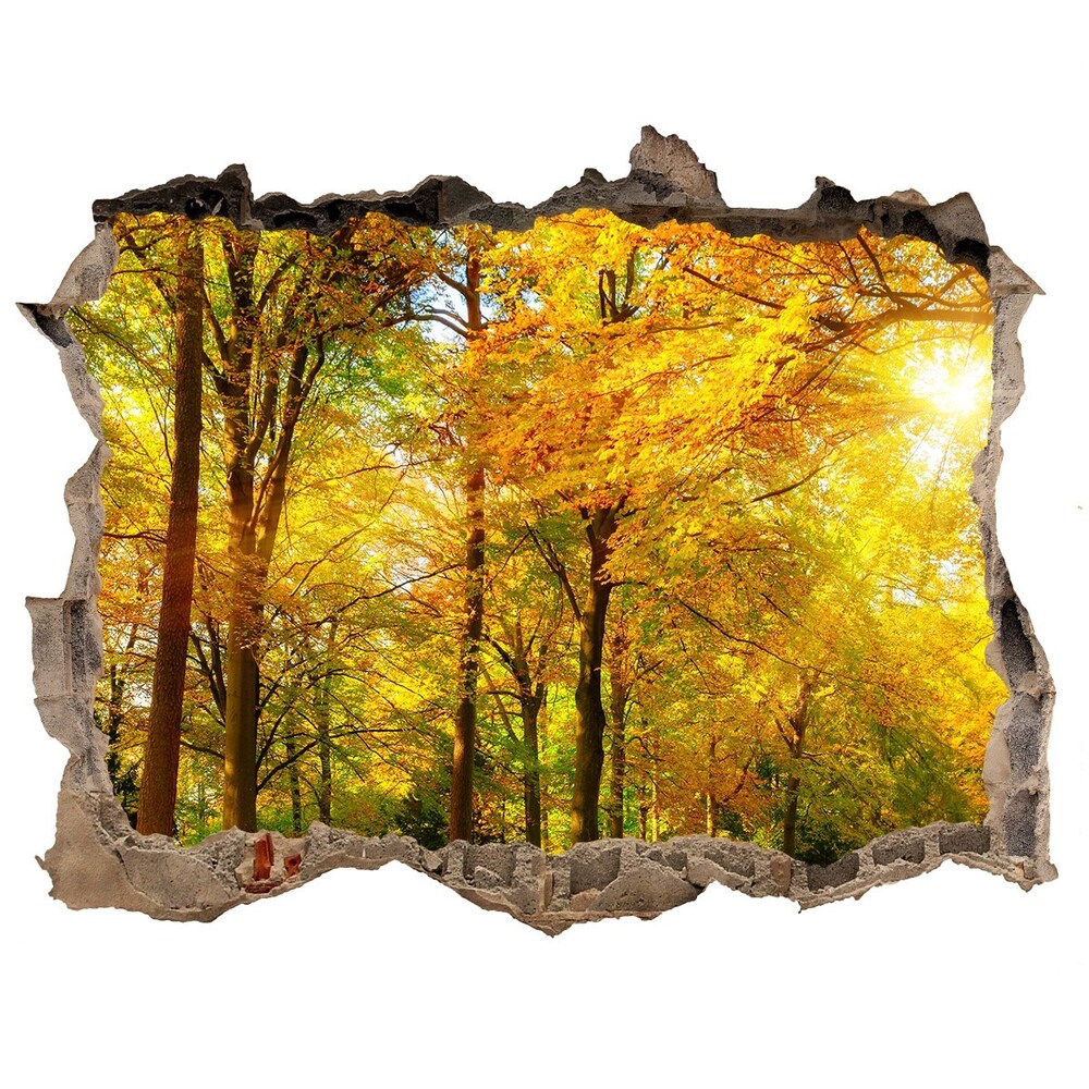 naklejka fototapeta 3D widok Pădure în toamna