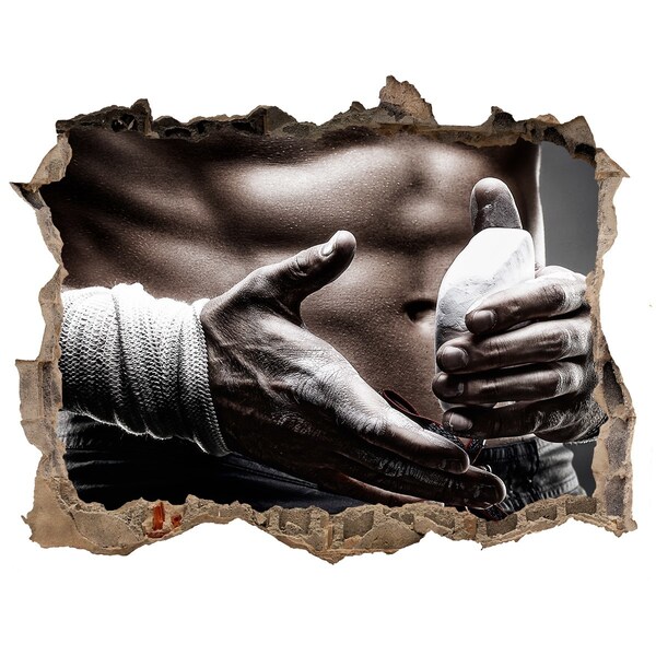 Foto zdjęcie dziura na ścianę Campion la arte marțiale