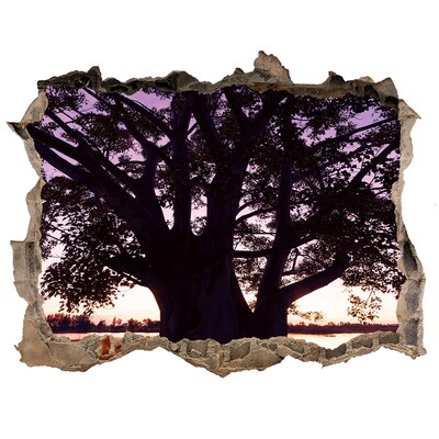 Autocolant autoadeziv gaură Apus de soare în spatele copacului