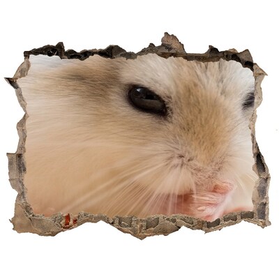 Autocolant gaură 3D Hamster într-o gaură în perete