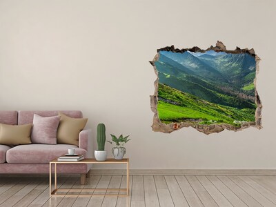 Autocolant 3D gaura cu priveliște O vale verde în munți