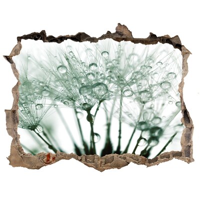 Autocolant 3D gaura cu priveliște Un vis floral în spatele peretelui