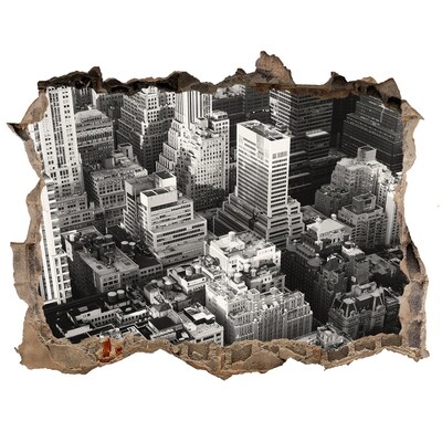 Fototapet 3D gaură în perete Vedere a junglei urbane