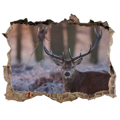 Autocolant 3D gaura cu priveliște Cerb în pădure