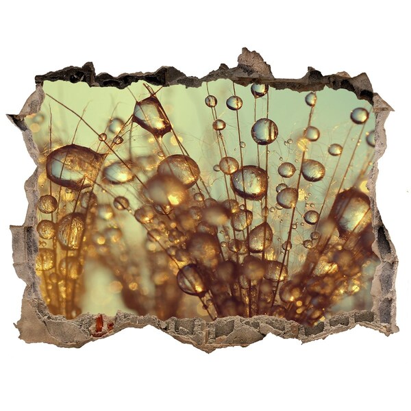 Fototapet un zid spart cu priveliște Picături pentru firele de păr delicate