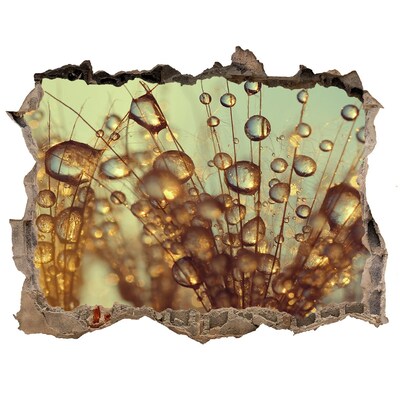 Fototapet un zid spart cu priveliște Picături pentru firele de păr delicate