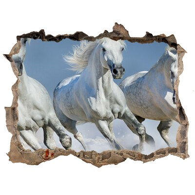 Autocolant gaură 3D White beach horse