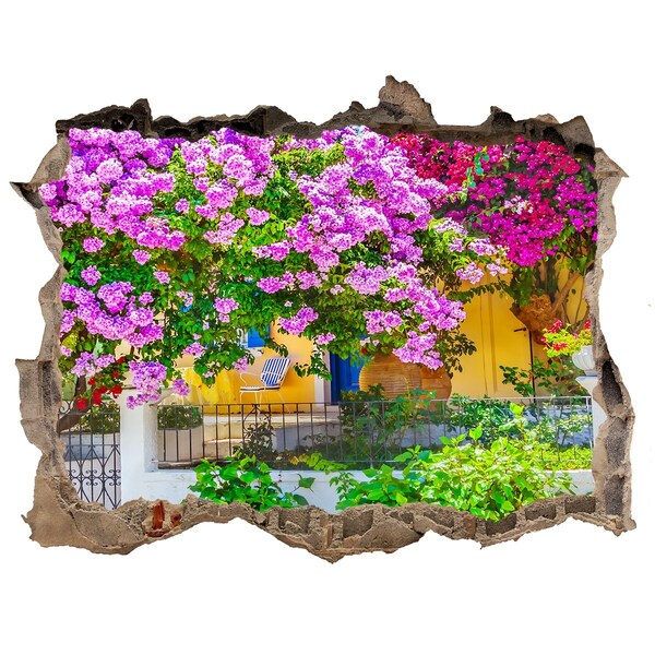 Fototapet 3D gaură în perete Casa cu bougainvillea