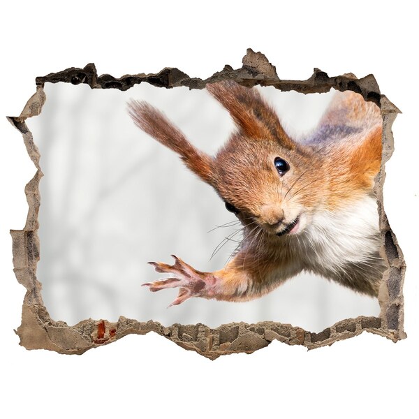 Autocolant de perete gaură 3D Veveriță în acțiune