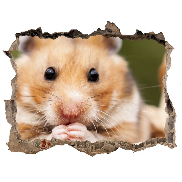 Autocolant 3D gaura cu priveliște Hamster în coș