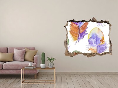 Fototapet 3D gaură în perete Pene colorate pe fundalul peretelui