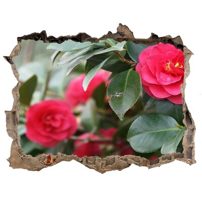 Autocolant autoadeziv gaură Grădină de flori din beton