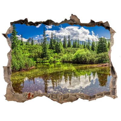 Autocolant gaură 3D Lacul în pădure