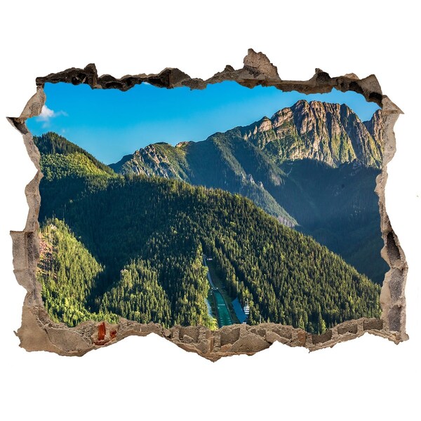 Fototapet 3D gaură în perete Panorama tatra