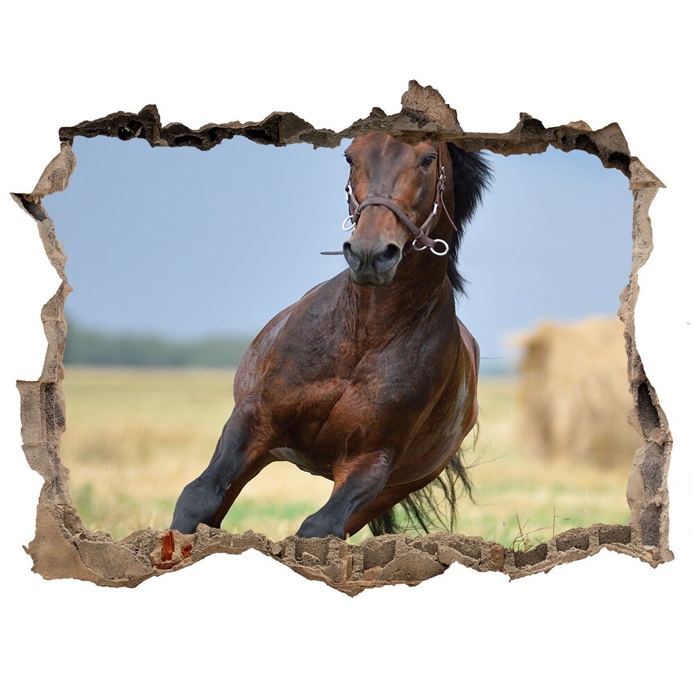 Autocolant un zid spart cu priveliște Un cal în galop