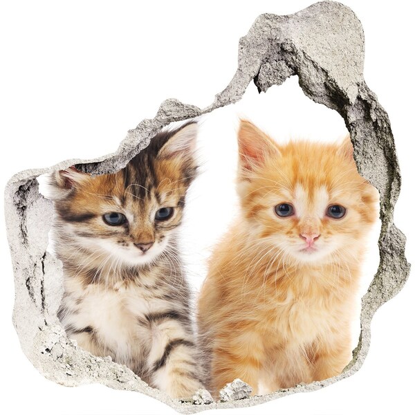 Autocolant autoadeziv gaură Prietenii pisicilor din spatele găurii