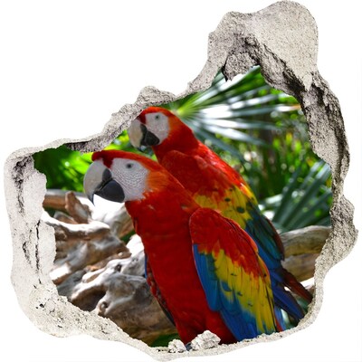 Fototapet un zid spart cu priveliște papagali Macaws